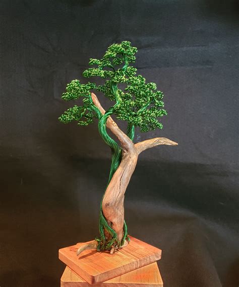 bonsai etsy